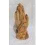 Praying hands